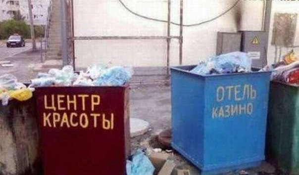Картинки и гифки.
