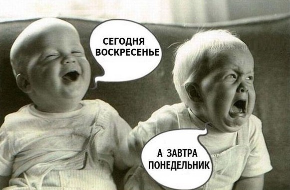 Пучок смешных картинок