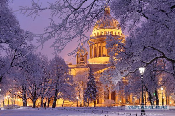 Больше, чем фото