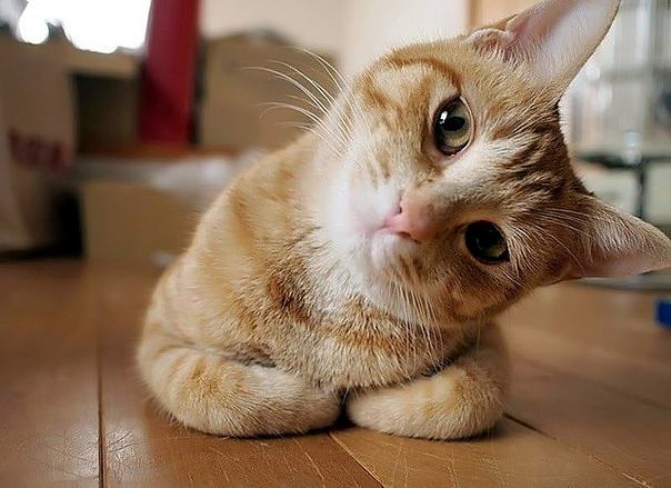 Картинки из сети, подборка на пятницу.