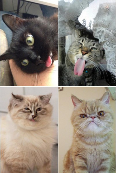 Подборка картинок на среду