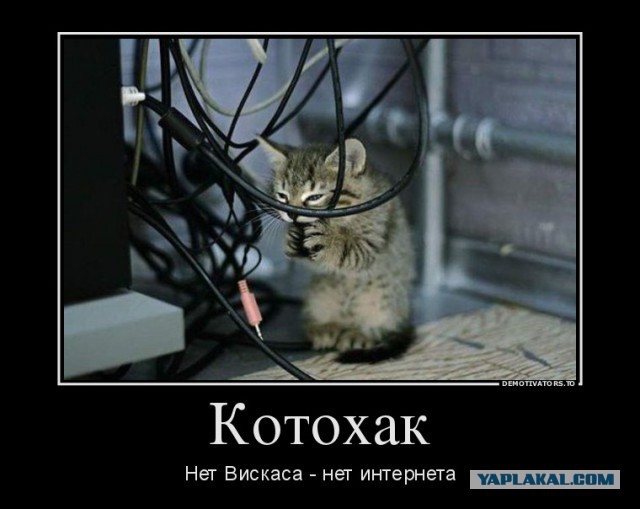 IT-Картинки