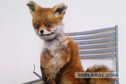 Мертвец встретил гостей на собственных похоронах сидя на стуле с открытыми глазами и сигаретой в руках