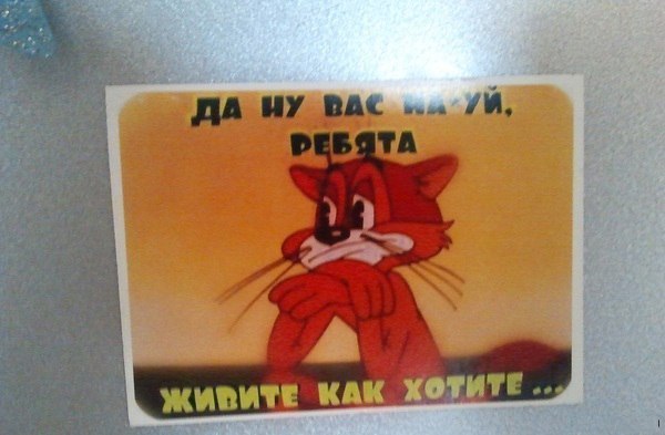 Подборка интересных и веселых фото