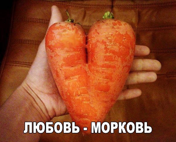 Подборка смешных картинок