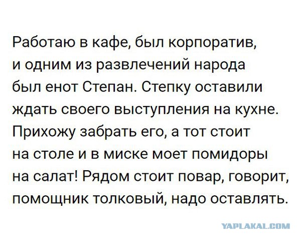 Предпраздничный маразм на предстоящую неделю