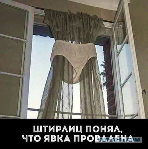 Все друг друга поняли (Смехопанорама)