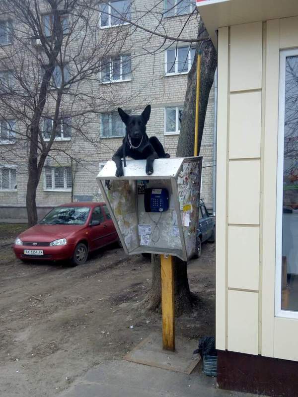 Подборка интересных и веселых картинок