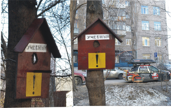 Просто 40   фоток....