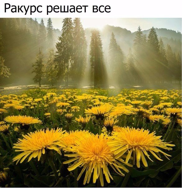 Подборка разного из сети
