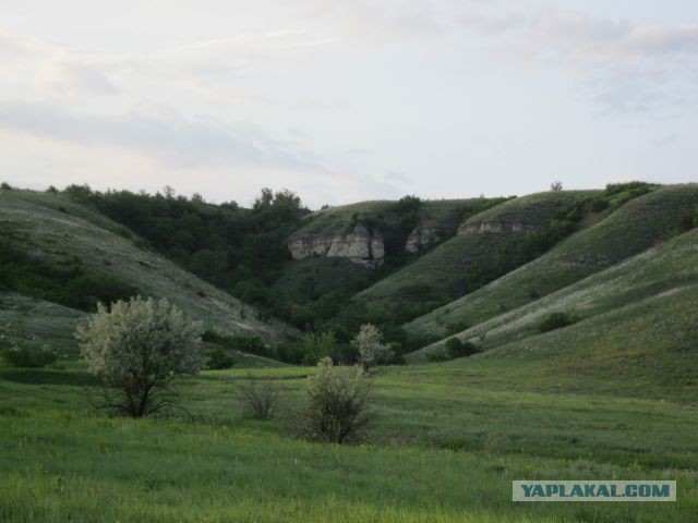 Про мою деревню