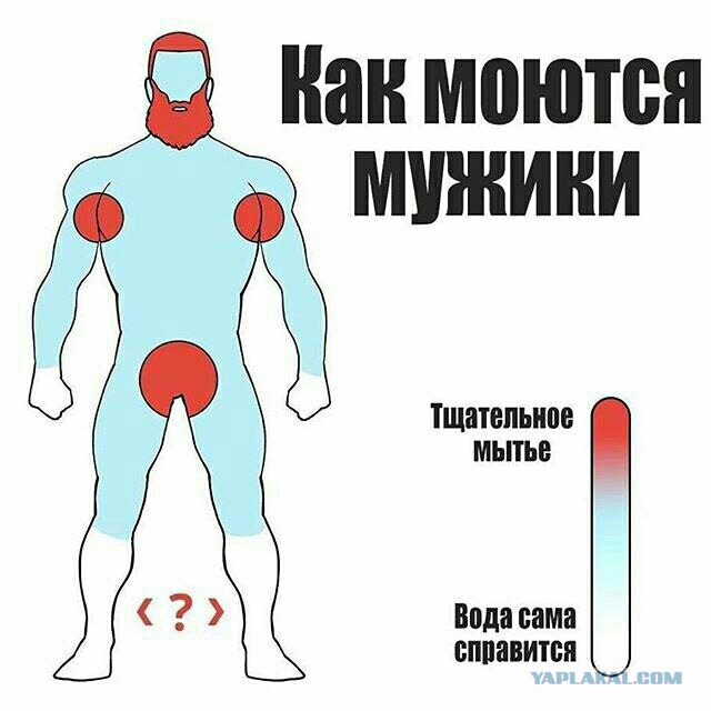 Забавные комментарии, шутки и фразы из этих ваших интернетов
