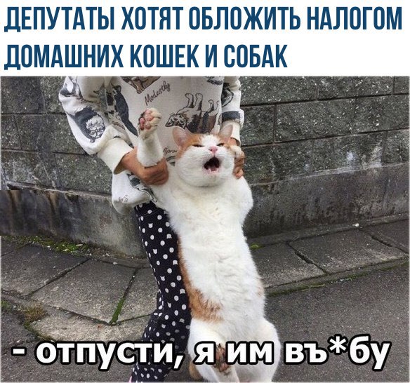 Картинки из Ваших интернетов
