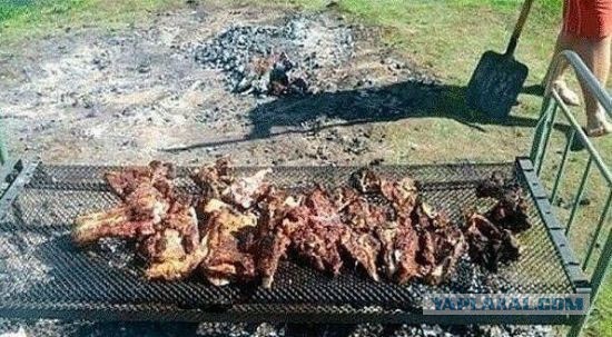 Начало дачного сезона, пора готовиться!
