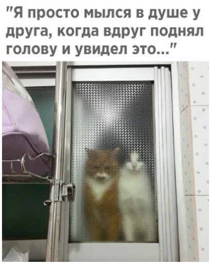 Немного картинок в этот четверг