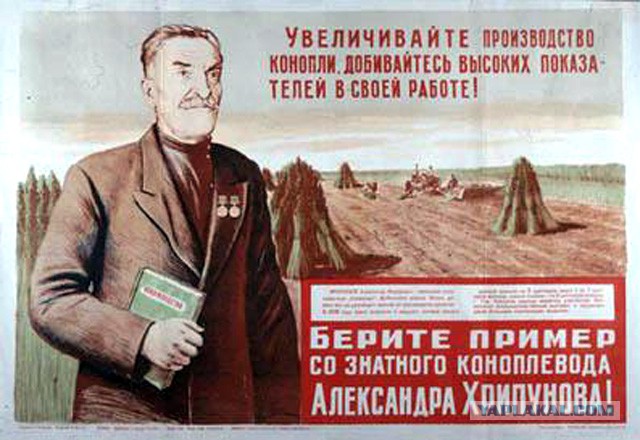 Сегодня суббота, а значит - никакой деградации. Ударим плакатом по морде неадеквата!