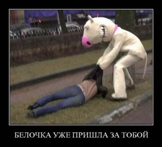 Просто белочка