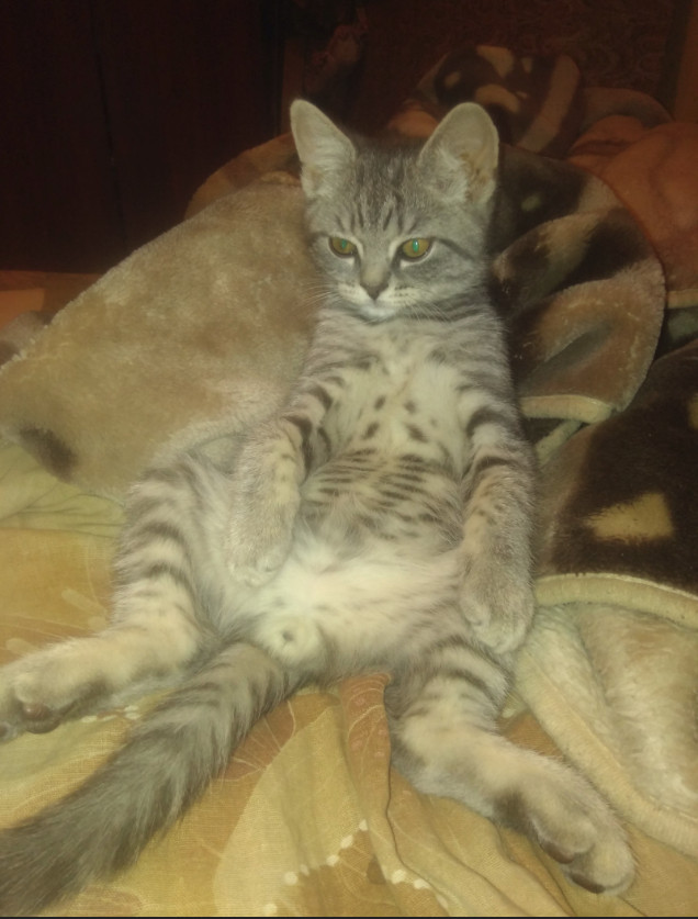 Немного милоты