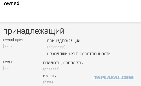 Люди, которым следует проводить лекции на тему "Удобно ли быть глупым"