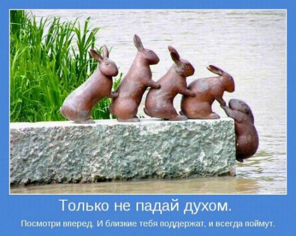 Прикольные и просто красивые картинки 11.11.2019