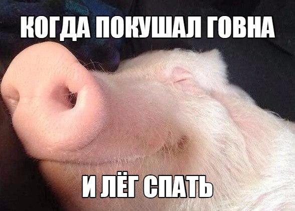 Чуток картинок. 26.01.20