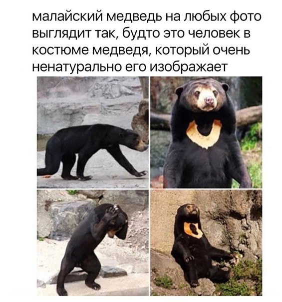 Чуток картинок 07.02.20.