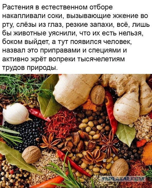 Безнадёга (всё плохо)