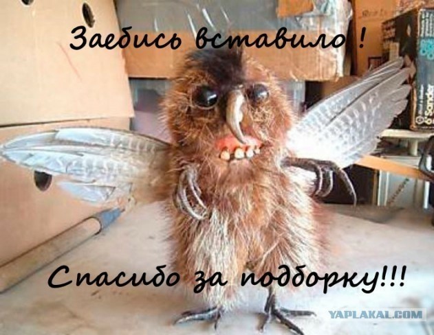 Бредзона 12.04.20