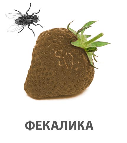 Фотожаба: Лето, фрукты, генетика!