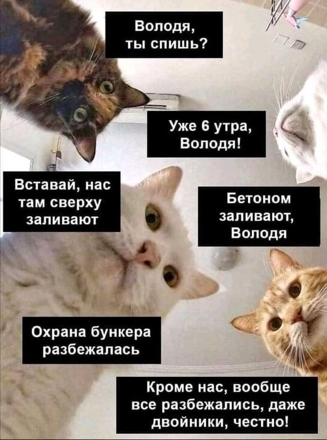 Путин отказался выходить из самоизоляции