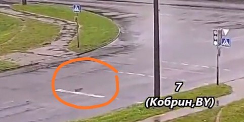 Спрятался
