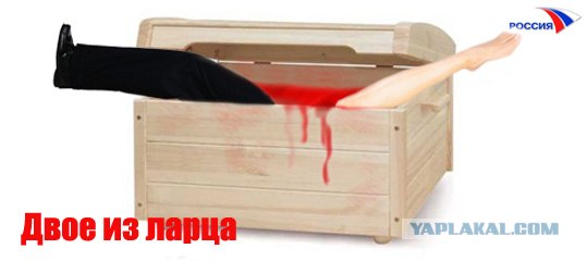 Фотожаба: ТВ программа
