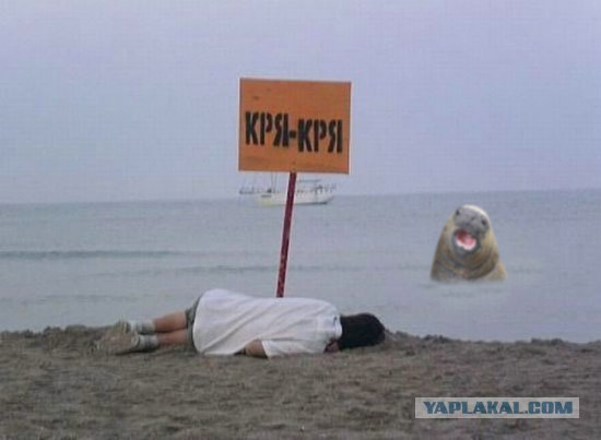 Фотожаба: КРЯ-КРЯ!