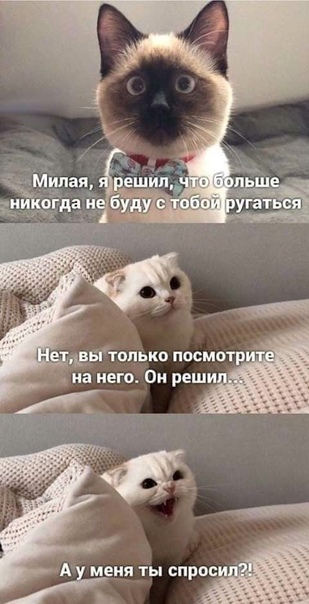Баянисто-небаянистый юмор 21.01.21