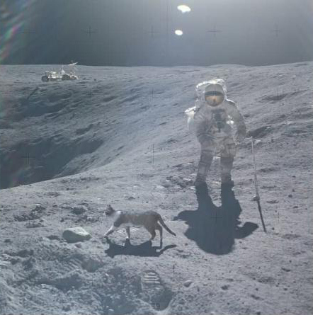 На Луне нашли мячик для гольфа, оставленный там 50 лет назад