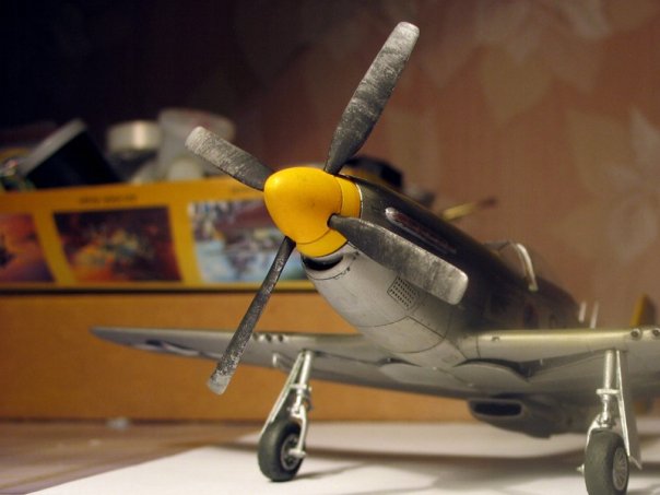 P-51 Mustang