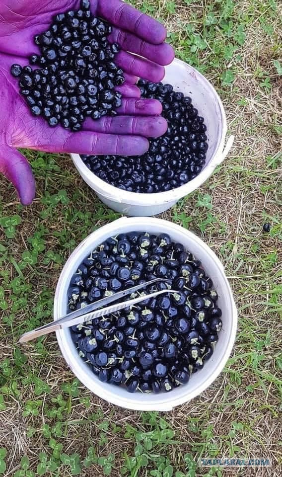 Немножко чернушки для вторника
