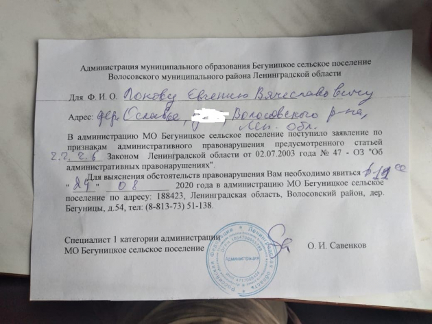Дразнил собак, ловил птиц: На кота из Ленобласти написали заявление