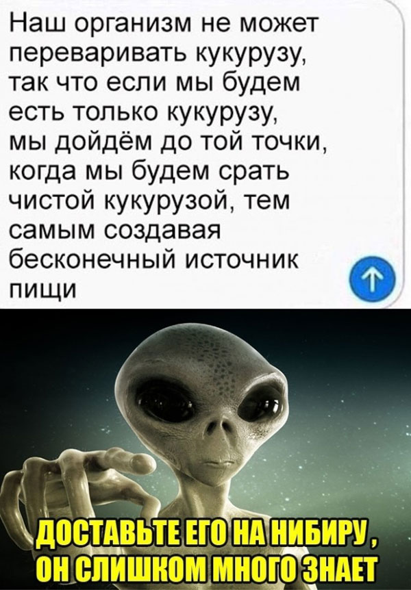 Юмор и прикольные картинки