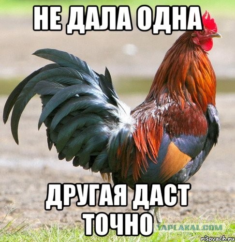 Почему мы изменяем? Отвечают сами женщины!