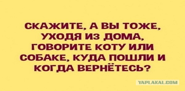 Немного картинок для настроения - 112