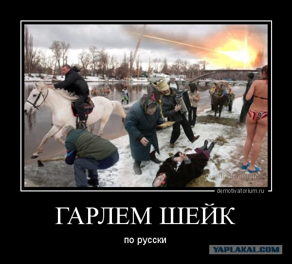 Пандемия съехавших крыш - разновидности болезни. Россия и мир. Часть 44.