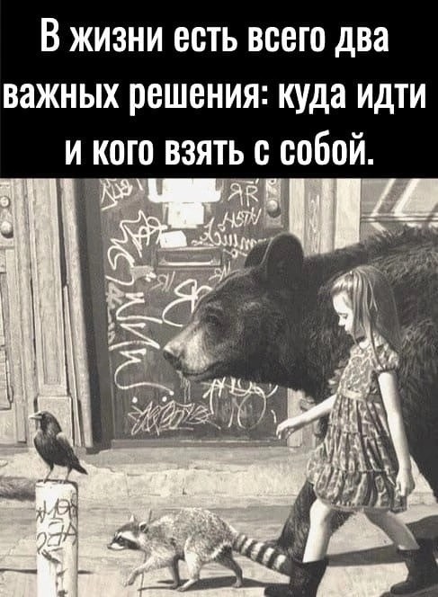 Юмор в картинках и без 01.12.2022