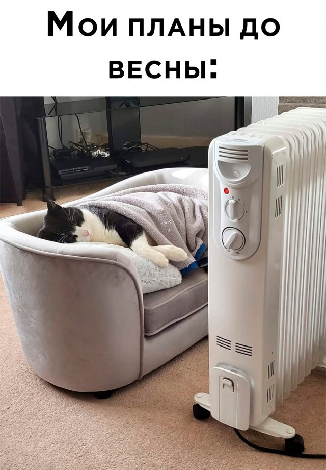 Картинки и мемы, всем хороших выходных