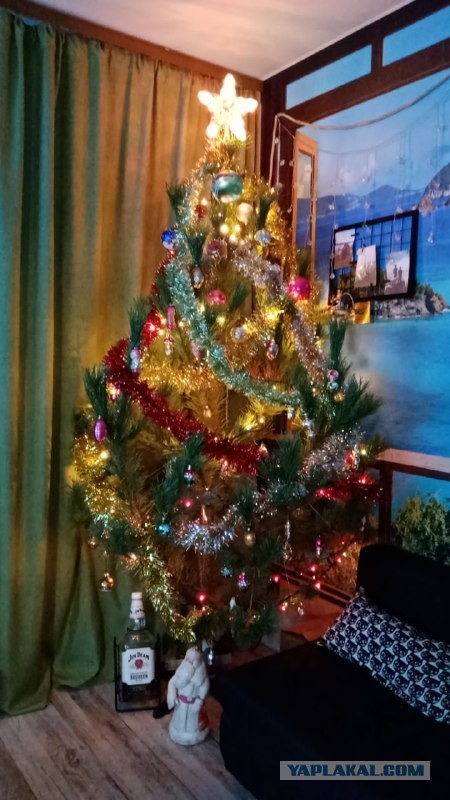 Выкладывайте свои елки!