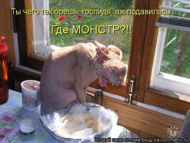 Колтунится котэ, колтунится...