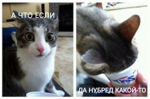 Мигрант из Грузии Юсубов Амид, призывает убить всех русских