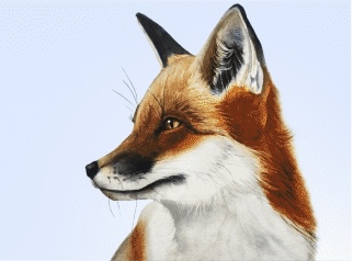 Иллюстрация к сказке про лису