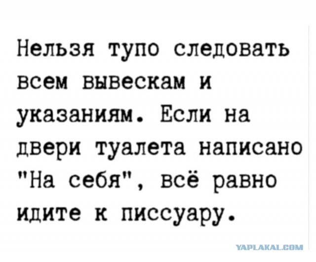 Тлидцать тли от 8 февраля