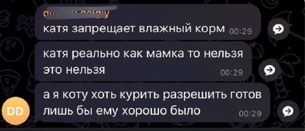 Немного обо всём